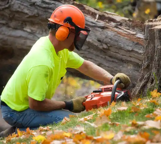 tree services Gastonia